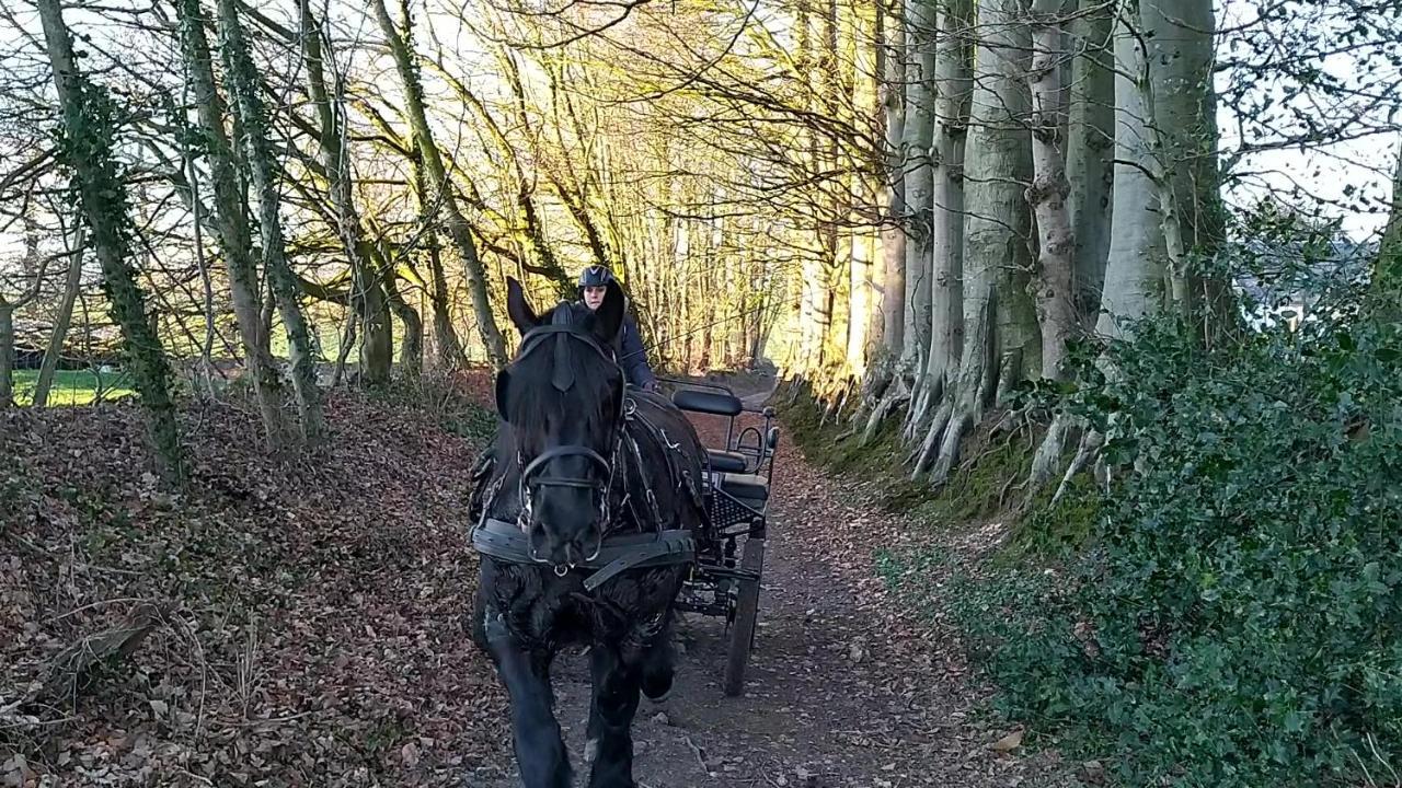 Eco-Gite La Chambre Du Vanneur Mentheville Экстерьер фото
